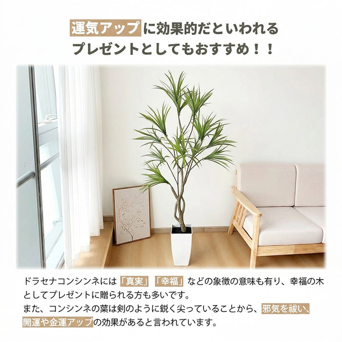 RAKU フェイクグリーン ドラセナ 高さ約160cm 鉢 シンプル おしゃれ 室内 玄関 オフィス  本物そっくり 大型 世話不要 フェイク植物 お祝い フェイク 観葉植物 人工観葉植物