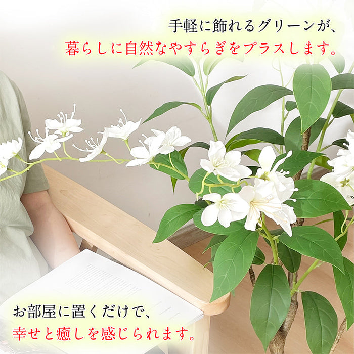 RAKU ジャスミンの花 フェイクグリーン 高さ約120cm 大型 フェイク観葉植物 鉢付き 本物そっくり リアル 人工観葉樹 お手入れ簡単 インテリア 室内 屋外 玄関 リビング オフィス 開店祝い 新築祝い 引越し祝い