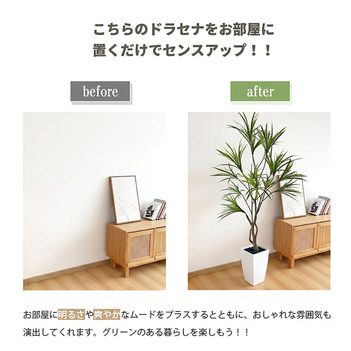 RAKU フェイクグリーン ドラセナ 高さ約160cm 鉢 シンプル おしゃれ 室内 玄関 オフィス  本物そっくり 大型 世話不要 フェイク植物 お祝い フェイク 観葉植物 人工観葉植物