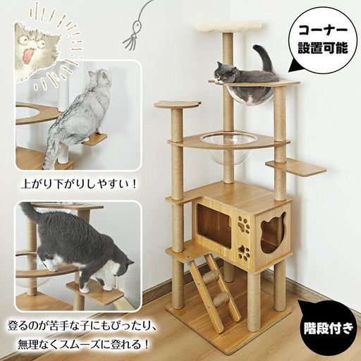 【予約②】大型猫、シニア猫、多頭飼い用 キャットタワー （ホワイト） Amazon | 日本メーカー RAKU キャットタワー 木製 シニア猫