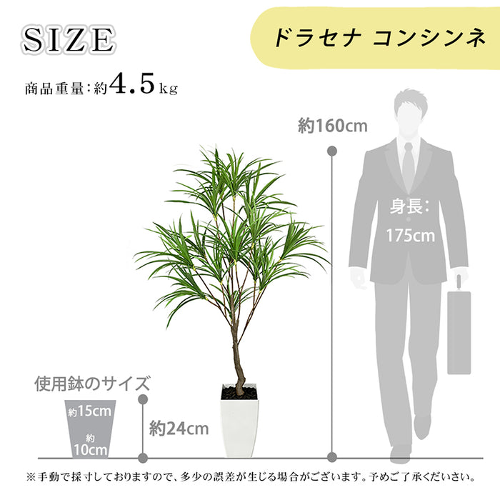 RAKU フェイクグリーン ドラセナ 高さ約160cm 鉢 シンプル おしゃれ 室内 玄関 オフィス  本物そっくり 大型 世話不要 フェイク植物 お祝い フェイク 観葉植物 人工観葉植物