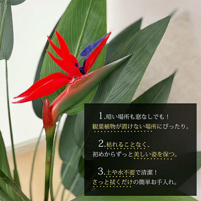 RAKU フェイクグリーン ストレリチア 極楽鳥花 高さ約168cm 観葉植物 フェイク 鉢付き 大型 リアル 人工観葉植物 人工観葉樹  水やり不要 室内 オフィス用 おしゃれ