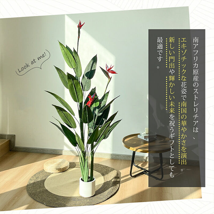 RAKU フェイクグリーン ストレリチア 極楽鳥花 高さ約168cm 観葉植物 フェイク 鉢付き 大型 リアル 人工観葉植物 人工観葉樹  水やり不要 室内 オフィス用 おしゃれ