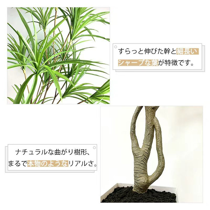 RAKU フェイクグリーン ドラセナ 高さ約160cm 鉢 シンプル おしゃれ 室内 玄関 オフィス  本物そっくり 大型 世話不要 フェイク植物 お祝い フェイク 観葉植物 人工観葉植物