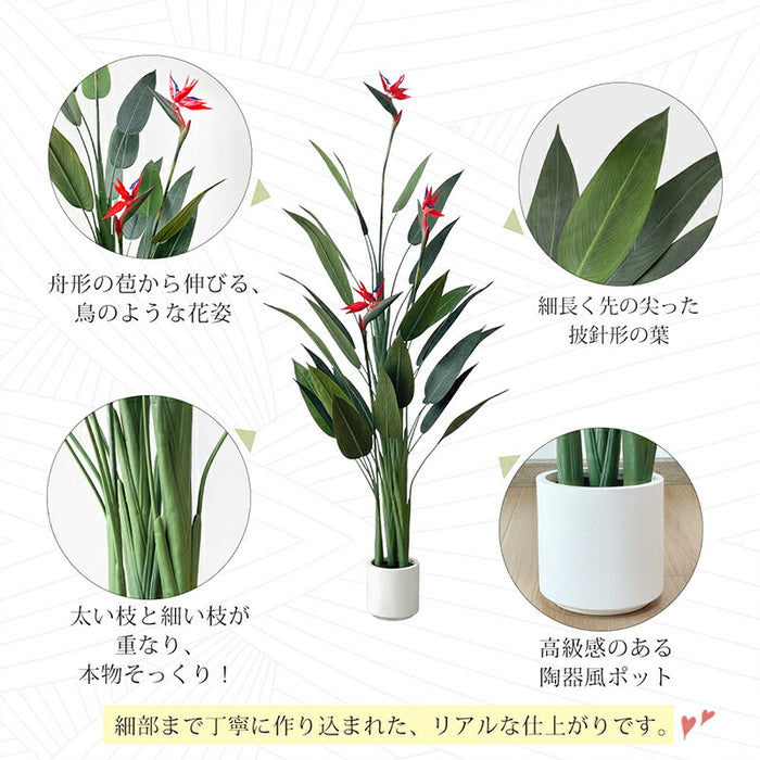 RAKU フェイクグリーン ストレリチア 極楽鳥花 高さ約168cm 観葉植物 フェイク 鉢付き 大型 リアル 人工観葉植物 人工観葉樹  水やり不要 室内 オフィス用 おしゃれ