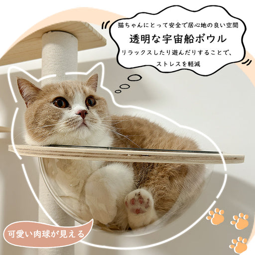 RAKU キャットタワー 木製 宇宙船 据え置き 天然木 多頭飼い 省スペース コンパクト 展望台 大型猫 猫ハウス シニア ポンポン 隠れ家  爪とぎ ホワイトコットン おしゃれ 安定 階段 キャットツリー 猫タワー 運動不足解消  猫 おもちゃ