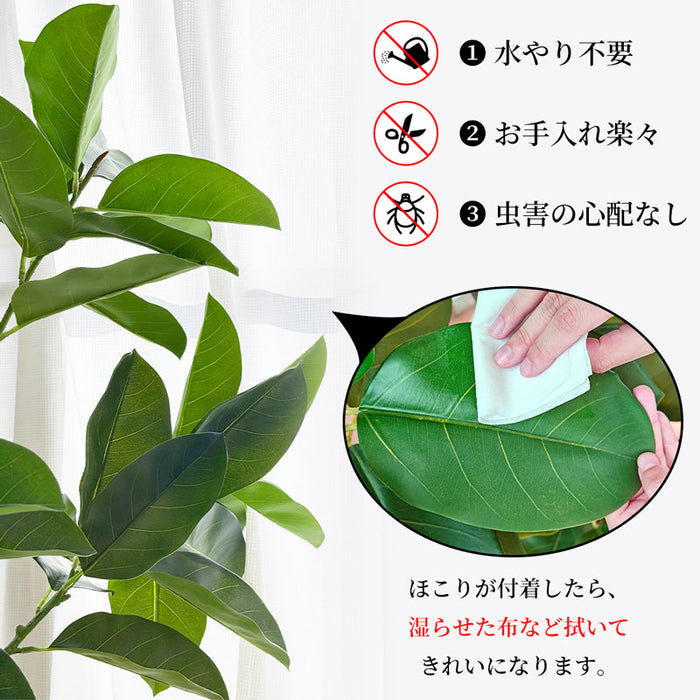 RAKU フィカス フェイクグリーン 高さ約150cm 大型 フェイク観葉植物 鉢付き 本物そっくり リアル 人工観葉樹 南国風 お手入れ簡単 インテリア 室内 屋外 玄関 リビング オフィス 開店祝い 新築祝い 引越し祝い
