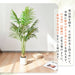RAKU アレカヤシ フェイクグリーン 大型 鉢付き 高さ約120cm/140cm リアル 本物そっくり 観葉植物 フェイク お手入れ簡単 室内 屋外 祝い インテリア 玄関 リビング オフィス 人工観葉植物 人工観葉樹