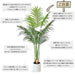 RAKU アレカヤシ フェイクグリーン 大型 鉢付き 高さ約120cm/140cm リアル 本物そっくり 観葉植物 フェイク お手入れ簡単 室内 屋外 祝い インテリア 玄関 リビング オフィス 人工観葉植物 人工観葉樹